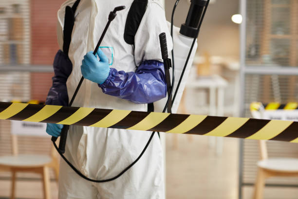 Professional Sewage Cleanup technician working in Buda, TX